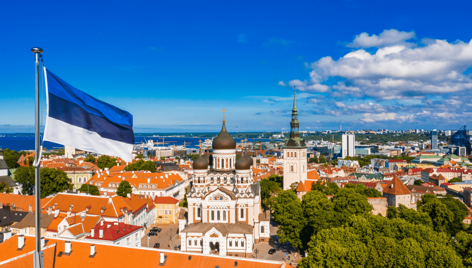 Reklama visoje Estijoje