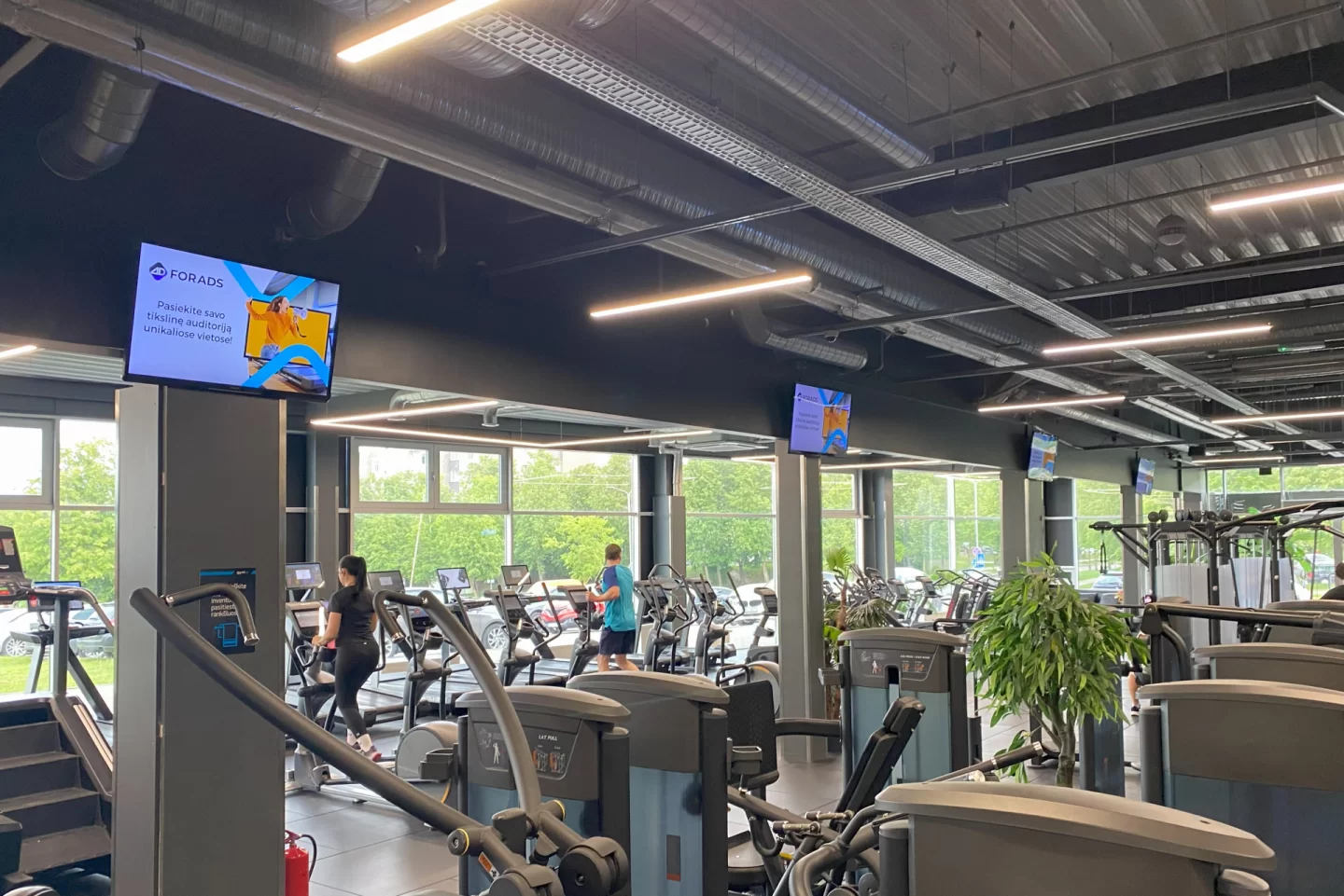 Gym Plius Alytus reklaminiai ekranai