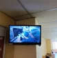 Reklaminiai ekranai VUL Santarų klinikose, konsultacijų poliklinikoje